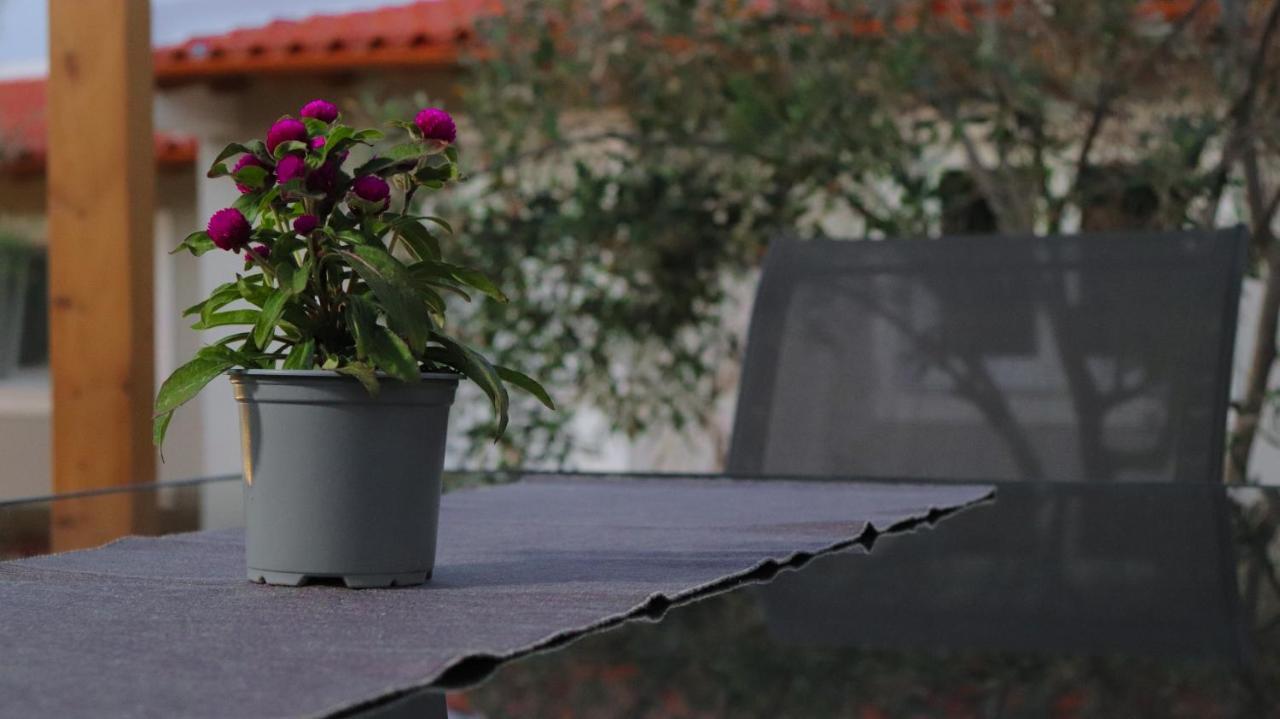 Spitakia-cozy & Comfy 10minutes From The Airport